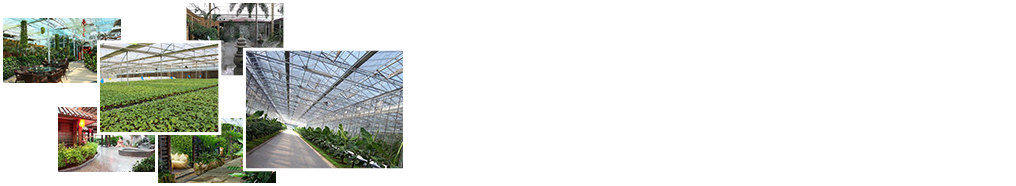 24小時(shí)免費咨詢(xún)、免費技術(shù)指導