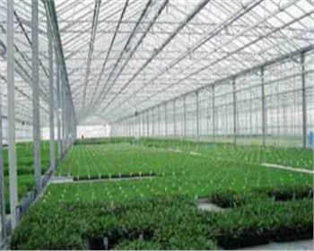 寧夏蔬菜大棚|育苗大棚