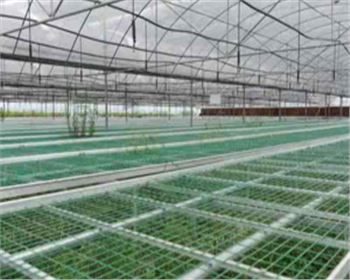 寧夏育苗大棚|連棟溫室大棚