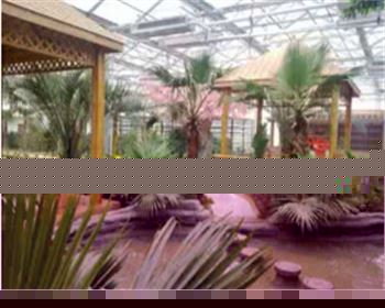 寧夏生態(tài)餐廳