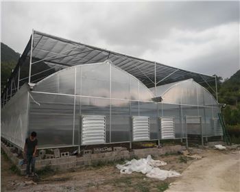 寧夏溫室大棚案例