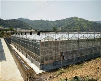 寧夏連棟溫室大棚案例