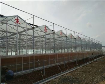 寧夏蔬菜大棚案例