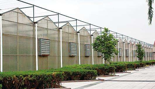 規模大，質(zhì)量好