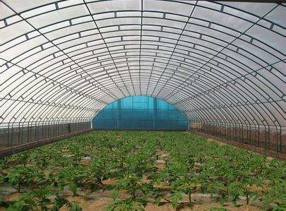 技術(shù)專(zhuān)業(yè)，服務(wù)到位