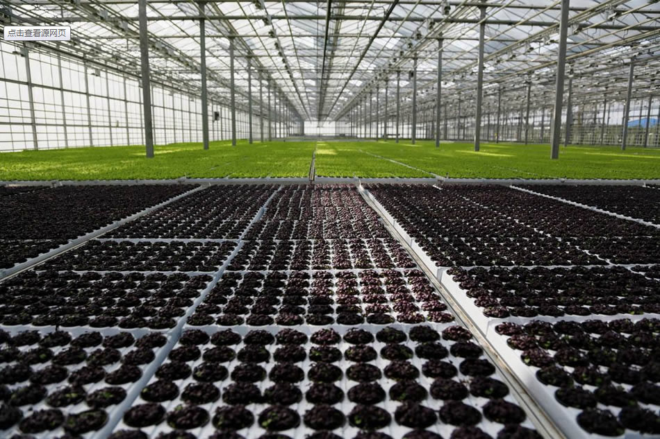 實(shí)力雄厚，品質(zhì)保證！