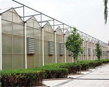 規模大，質(zhì)量好