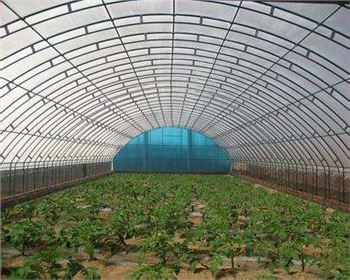 技術(shù)專(zhuān)業(yè)，服務(wù)到位