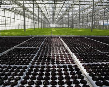 實(shí)力雄厚，品質(zhì)保證！