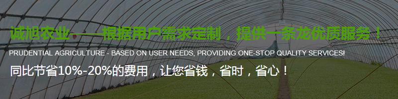 陜西溫室大棚養殖大棚