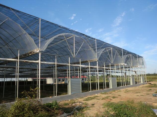 陜西溫室大棚突然遇到冰雹天氣該如何避免？